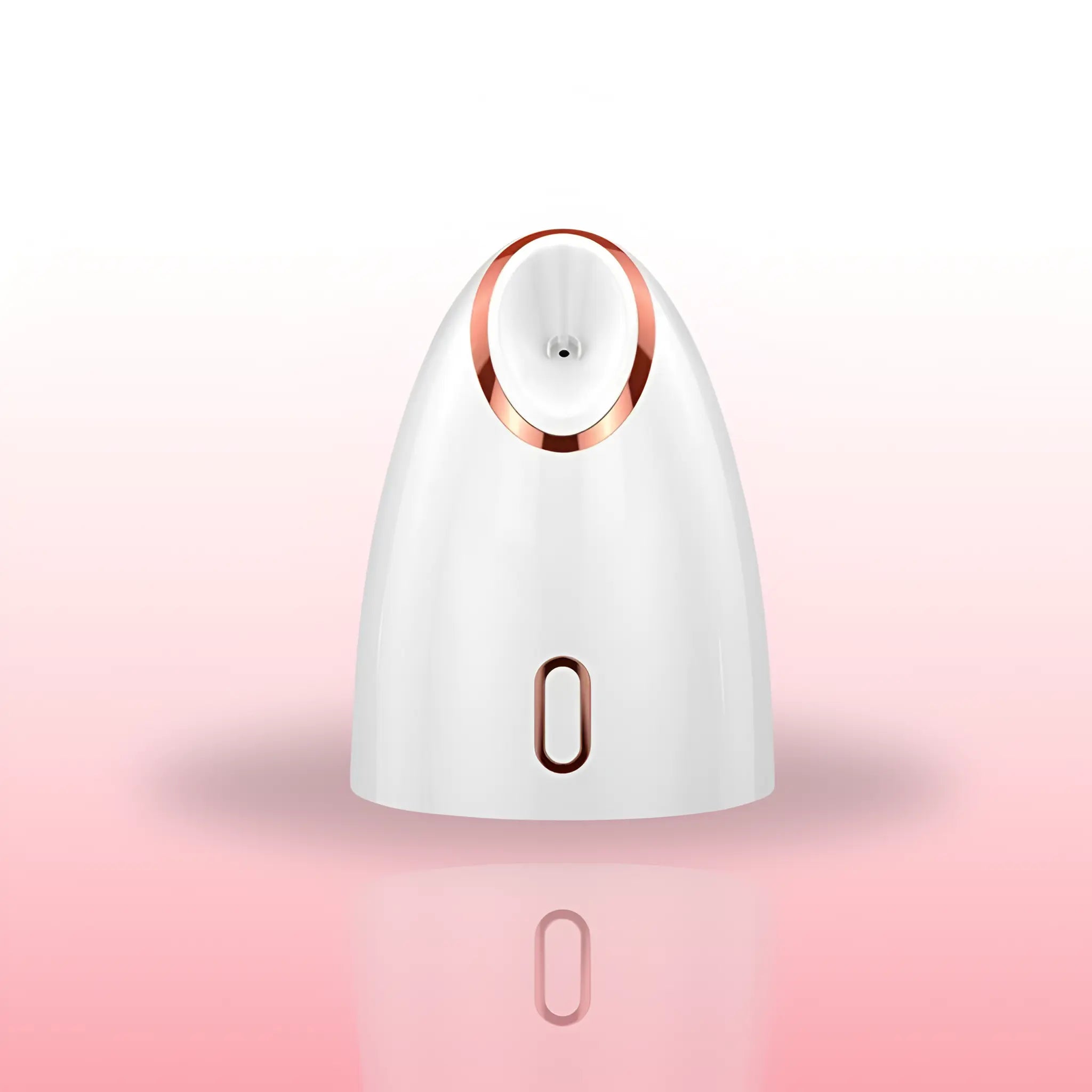 Nano Mist Facial Steamer